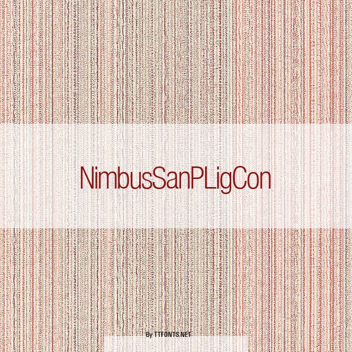 NimbusSanPLigCon example