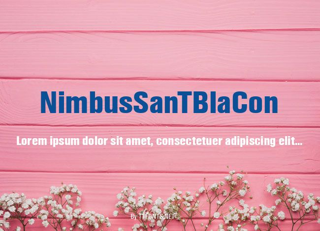 NimbusSanTBlaCon example