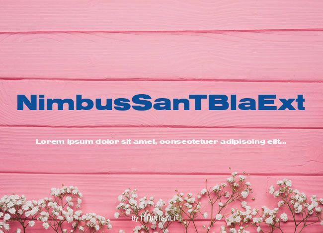 NimbusSanTBlaExt example
