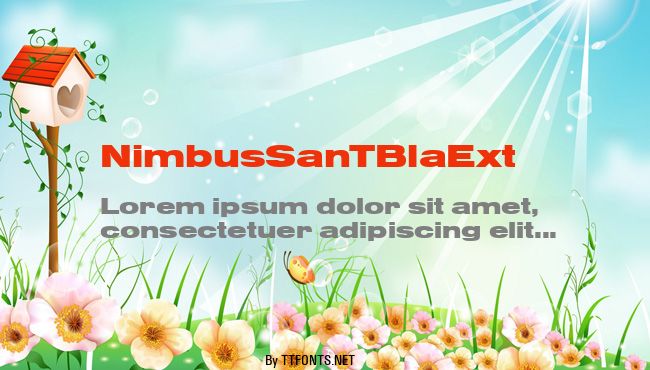 NimbusSanTBlaExt example