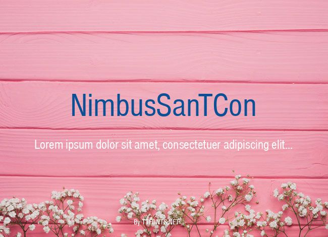 NimbusSanTCon example