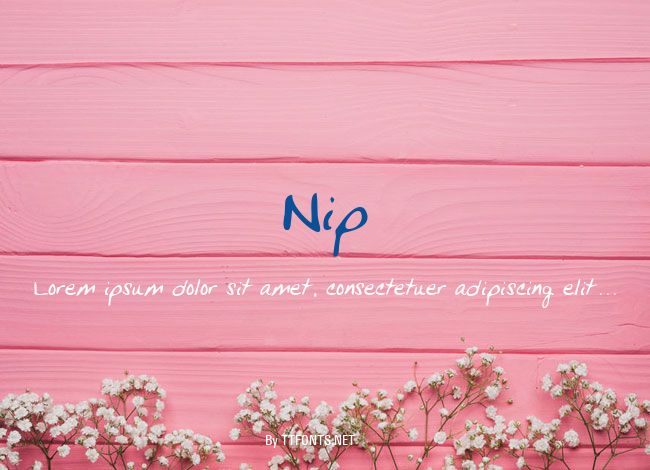 Nip example