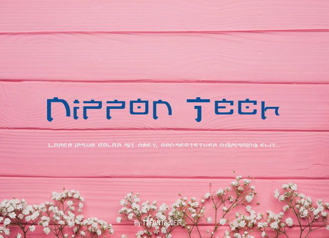Nippon Tech example