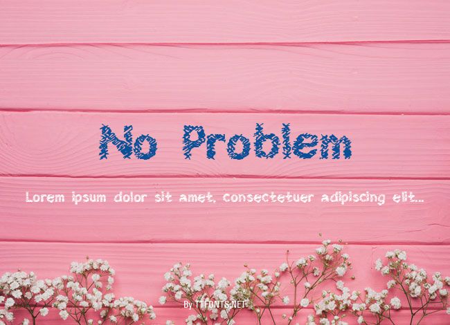 No Problem example