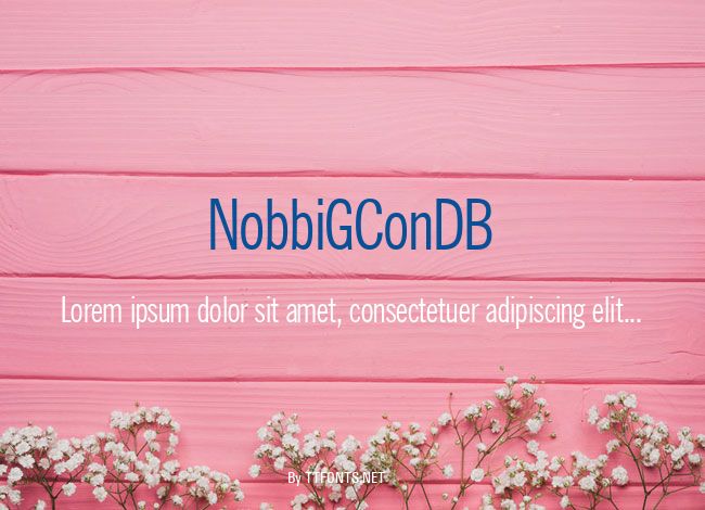 NobbiGConDB example