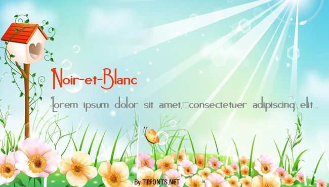 Noir-et-Blanc example