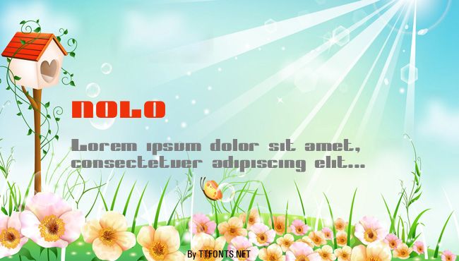 NOLO example