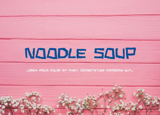 Noodle soup example