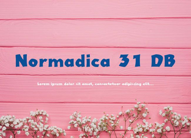 Normadica 31 DB example