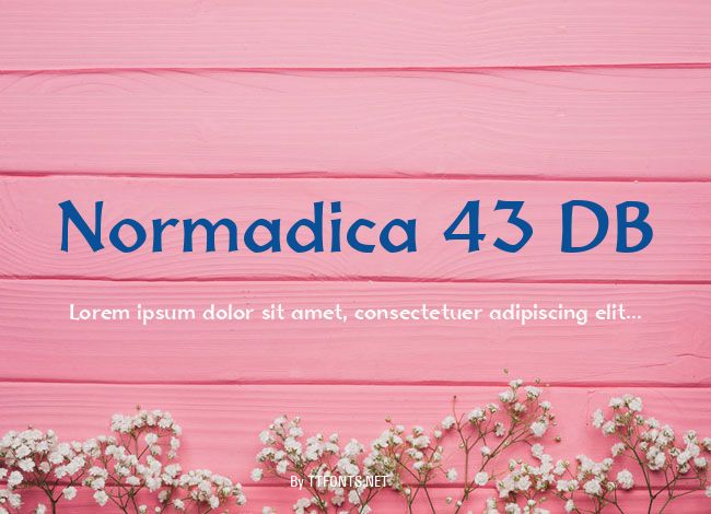 Normadica 43 DB example