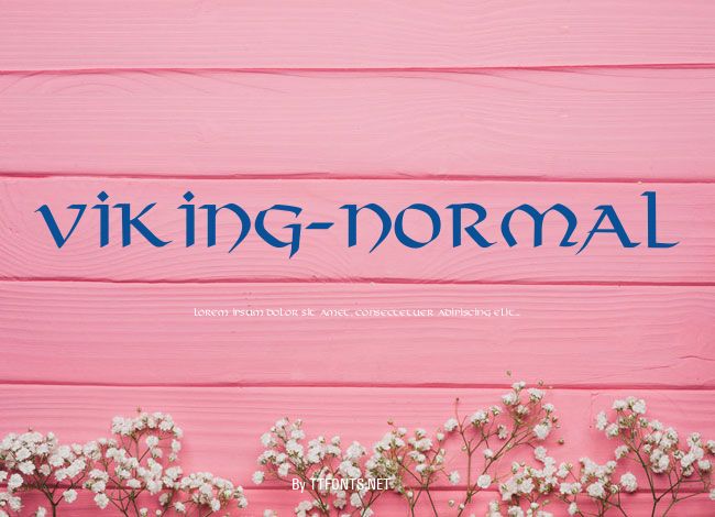Viking-Normal example