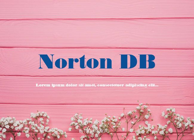 Norton DB example