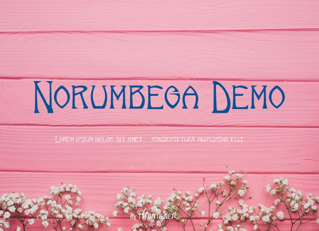 Norumbega Demo example