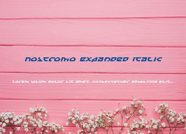 Nostromo Expanded Italic example