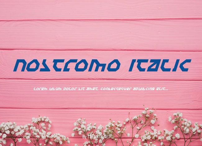 Nostromo Italic example
