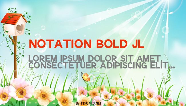 Notation Bold JL example