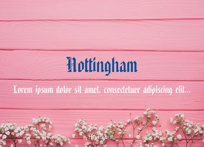 Nottingham example