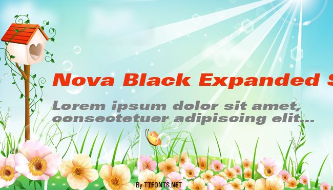 Nova Black Expanded SSi example