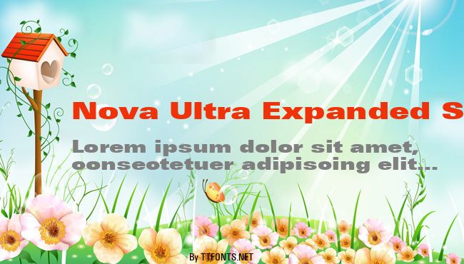 Nova Ultra Expanded SSi example