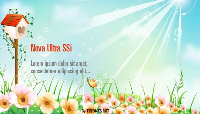 Nova Ultra SSi example