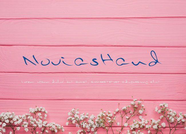 NoviasHand example