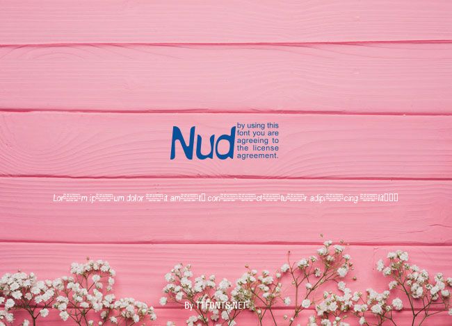 NudE example