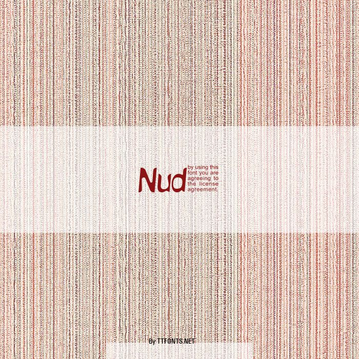 NudE example