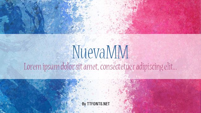 NuevaMM example
