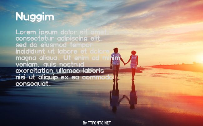 Nuggim example