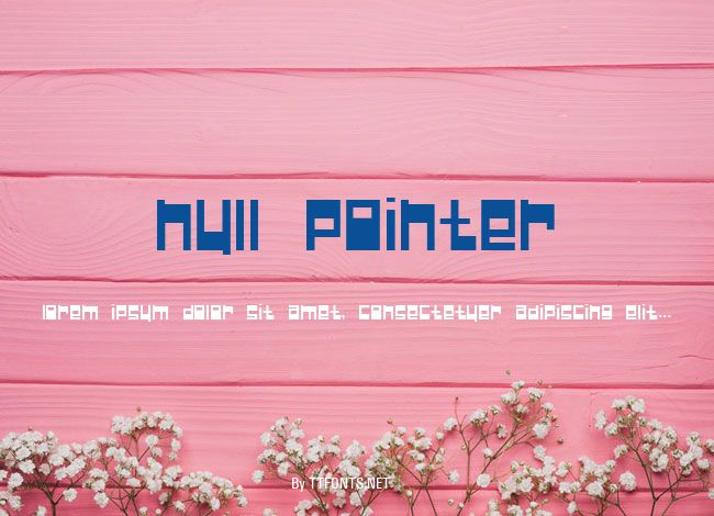 Null Pointer example
