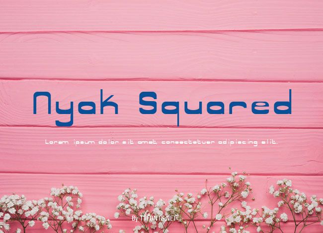 Nyak Squared example