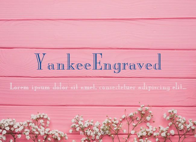 YankeeEngraved example