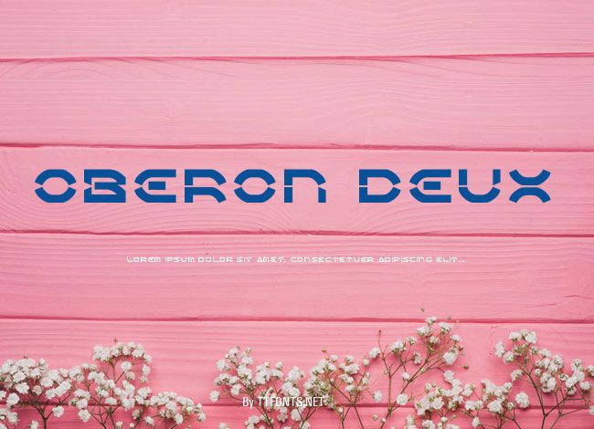Oberon Deux example