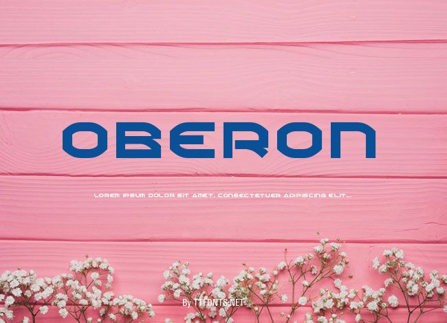 Oberon example
