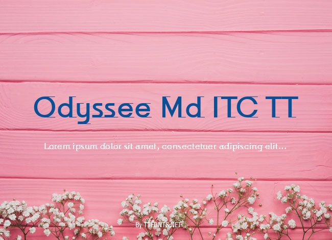 Odyssee Md ITC TT example