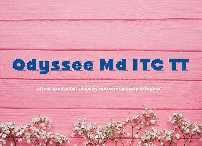 Odyssee Md ITC TT example