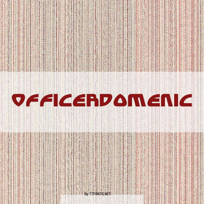 OfficerDomenic example