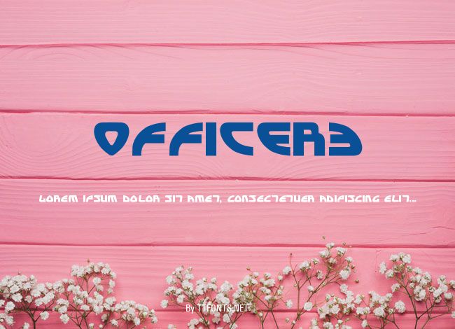 OFFICER3 example