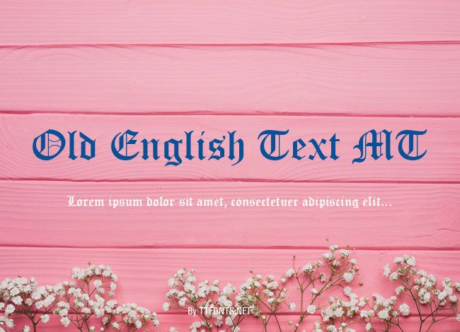 Old English Text MT example