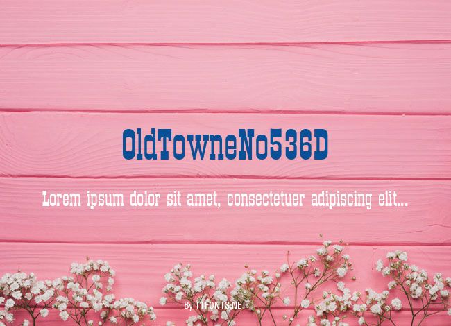 OldTowneNo536D example