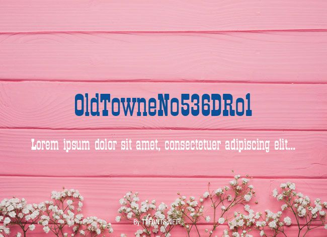 OldTowneNo536DRo1 example