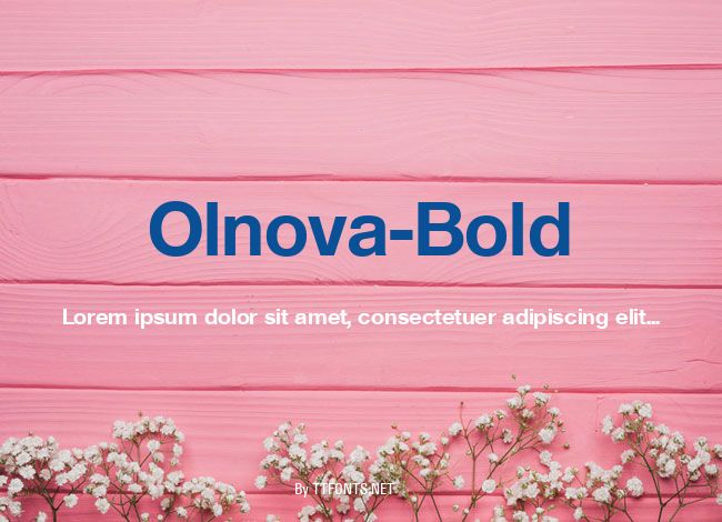 Olnova-Bold example