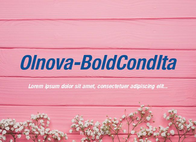 Olnova-BoldCondIta example