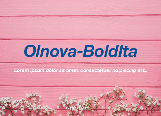 Olnova-BoldIta example