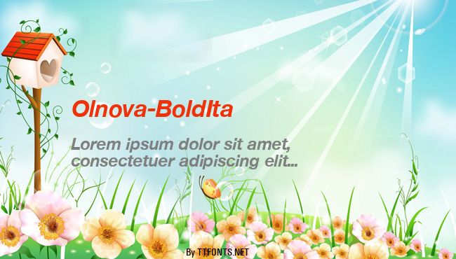 Olnova-BoldIta example