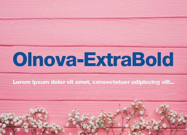 Olnova-ExtraBold example