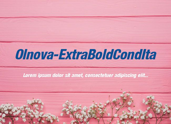 Olnova-ExtraBoldCondIta example
