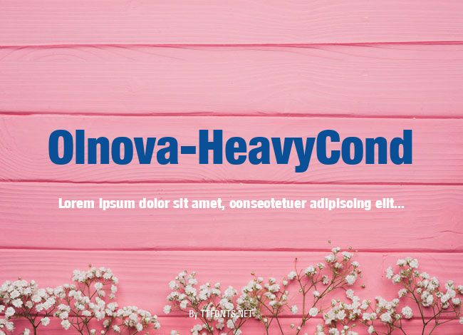 Olnova-HeavyCond example