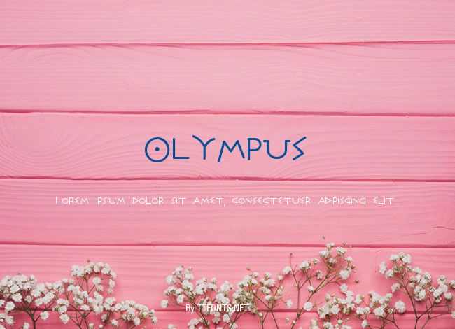 Olympus example