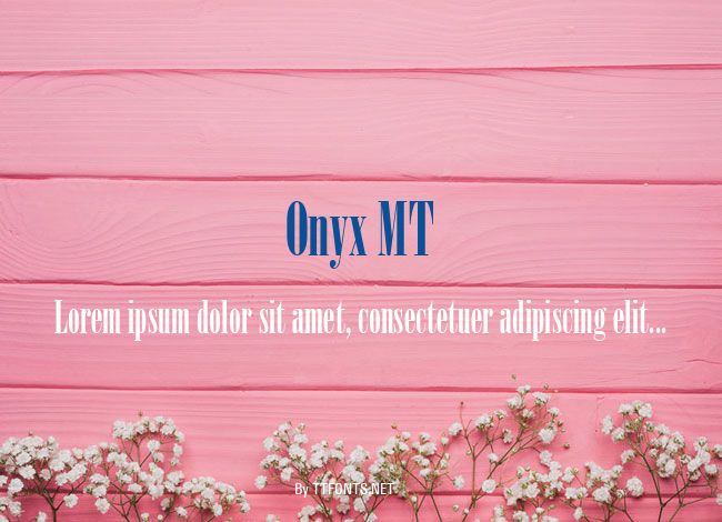 Onyx MT example